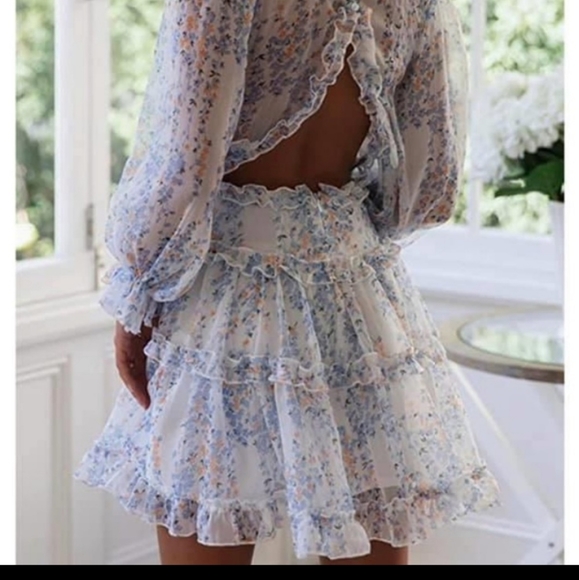 Beautiful Dress - Picture 3 of 6